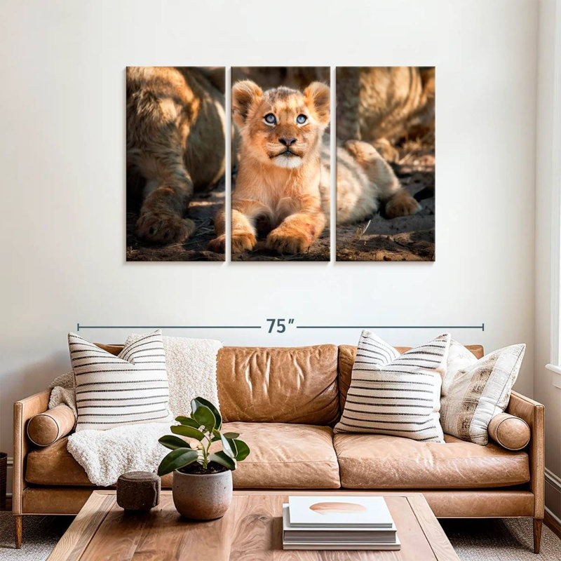 Brampt Baby Safari Lion, 36" H x 57" W