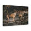 No Frame Print on Canvas