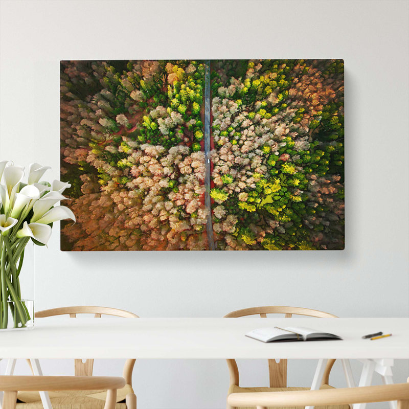 Separating The Forest - Wrapped Canvas Print, 60cm H x 91cm W x 3cm D
