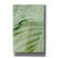 «Sage Palm» par Incado, art mural sur toile-226222445