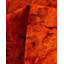 Merino One-of-a-Kind 12' 3" x 15' 2" Hand Knotted Area Rug