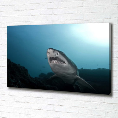 Big Shark - Wrapped Canvas Print