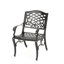 Chaise avec accoudoirs Phoenix (ensemble de 2)-1757101279