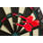 DarTronic 300 Dartboard with Heckler