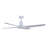 52" Wet Rated Outdoor Ceiling Fan with Remote Control, Modern White Patio Ceiling Fan-793165842