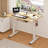 Mancheer Home Office Height Adjustable Standing Desk with USB Ports and Cable Management Tray-473508513-473508514