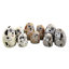 Ensemble de 3 figurines Selzer-1304220820