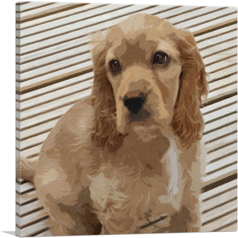 American Cocker Spaniel Dog Breed Lines - Reproduction d'art sur toile tendue, H 26 po x l 26 po x P 1,5 po