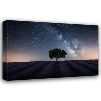 Hokku Designs, Ruiz Dueso, art sur toile tendue de la galerie Jorge, «Tree and Milky Way»