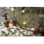 LED Indoor / Outdoor String Lights-50109744