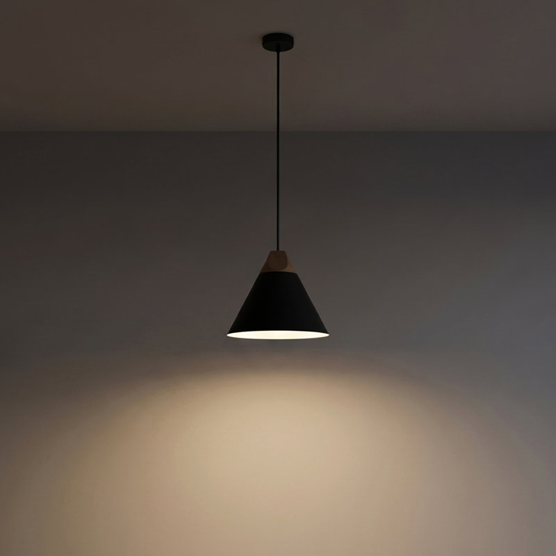 Dimmable Dome Pendant, 1