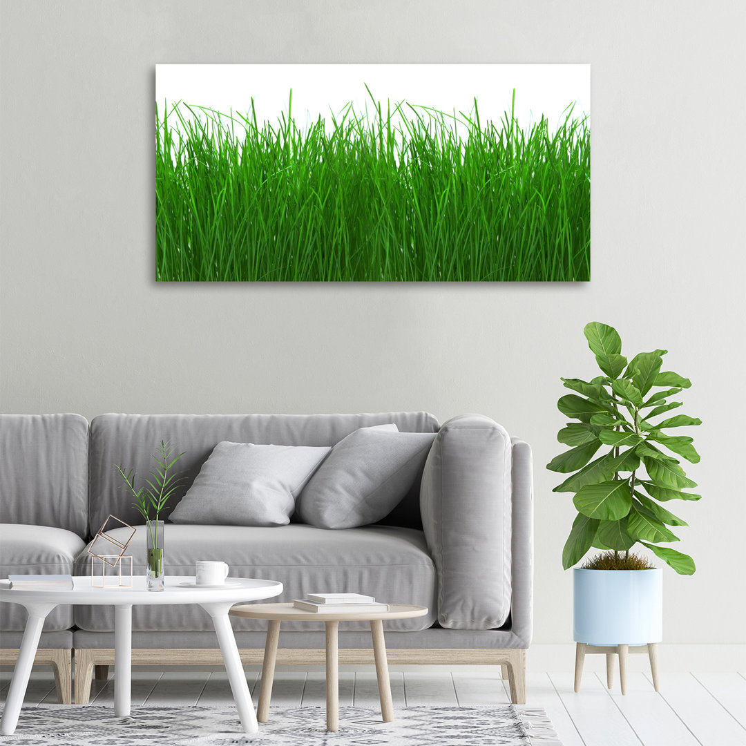 Gras - Kunstdrucke auf Leinwand