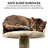 Etibar 49.49'' H Cat Tree-60038928