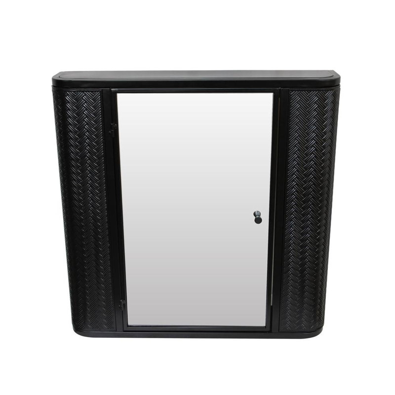 Modern Mirror Storage Cabinet