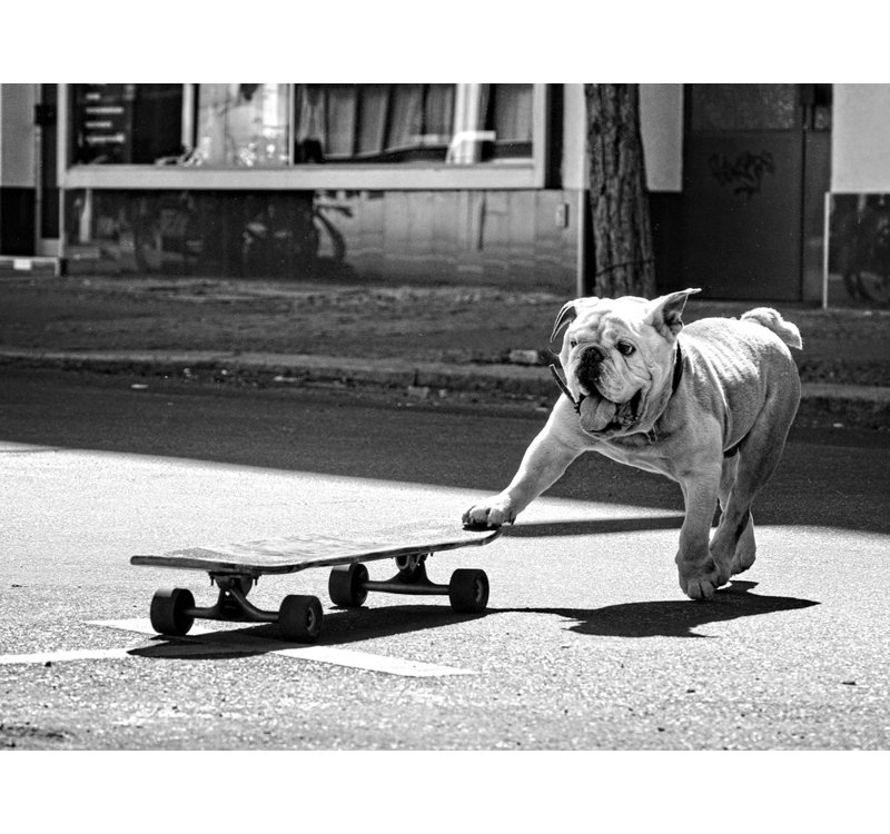 Wrapped Canvas Print, 60.96 cm H x 91.44 cm W