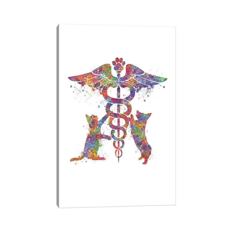Caduceus Vet Cat by Genefy Art - Wrapped Canvas Print, 66.04 cm H x 45.72 cm W x 1.91 cm D
