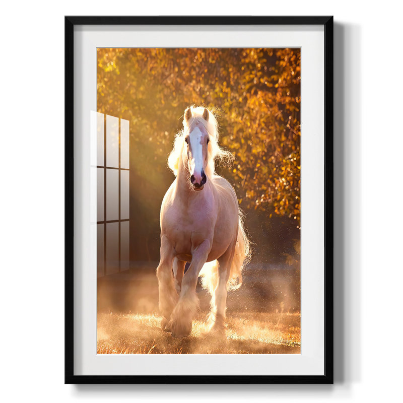 Delightful II -Gallery Wrapped Canvas