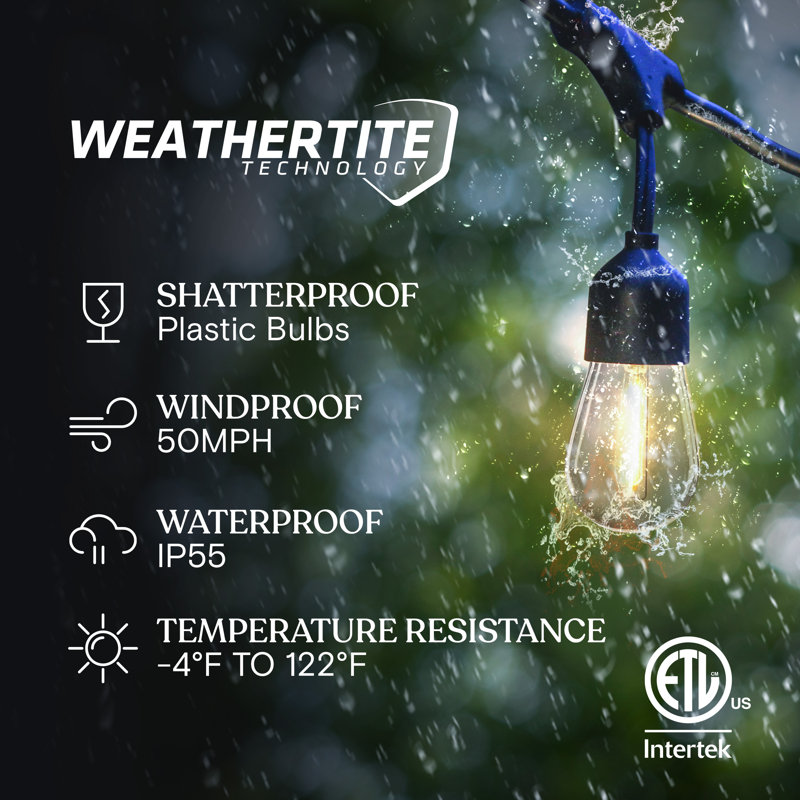 Ambience Pro 48 ft. Solar Outdoor Patio LED String Lights with 15 Soft White S14 Bulbs, Remote Control, Weatherproof