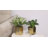 Demetrious Metal Pot Planter-1592832167