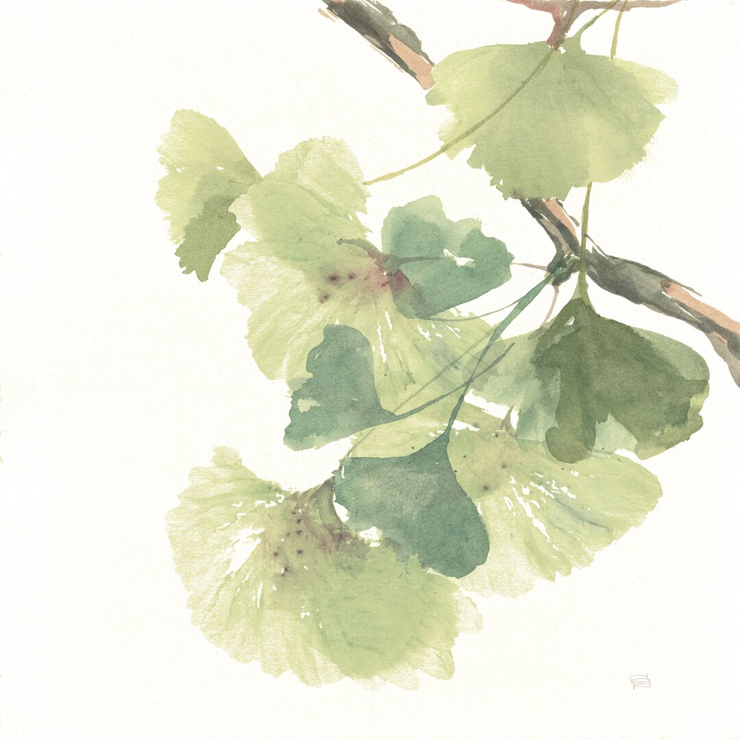 Leinwandbild Gingko Leaves II on White von Chris Paschke