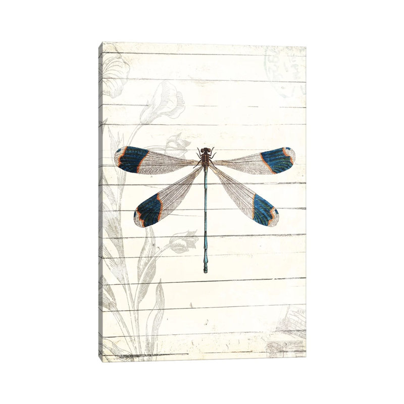 Dragonfly Look by Milli Villa - Wrapped Canvas Print, 66.04 cm H x 45.72 cm W x 1.91 cm D