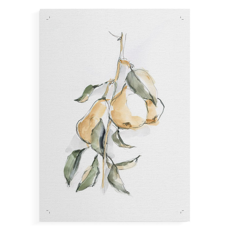 «Watercolor Fruit Contour I», reproduction de toile seulement - non encadrée, H 27 po x l 18 po