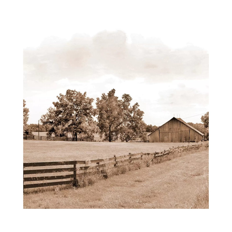 Simple Farm Life by Ynon Mabat - Wrapped Canvas Print, 30.48cm H x 30.48cm W
