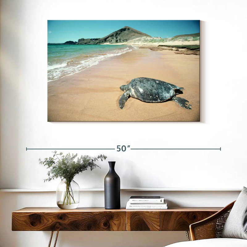 Brampt Galapagos Loggerhead Turtle, 26" H x 39" W