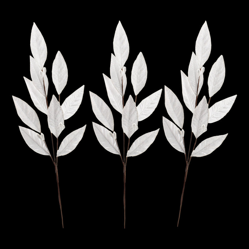 Choix feuillus, Blanc