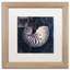 «Jadaya Maritime Blues V» par Color Bakery, impression encadrée-20486730-20486731-70688246