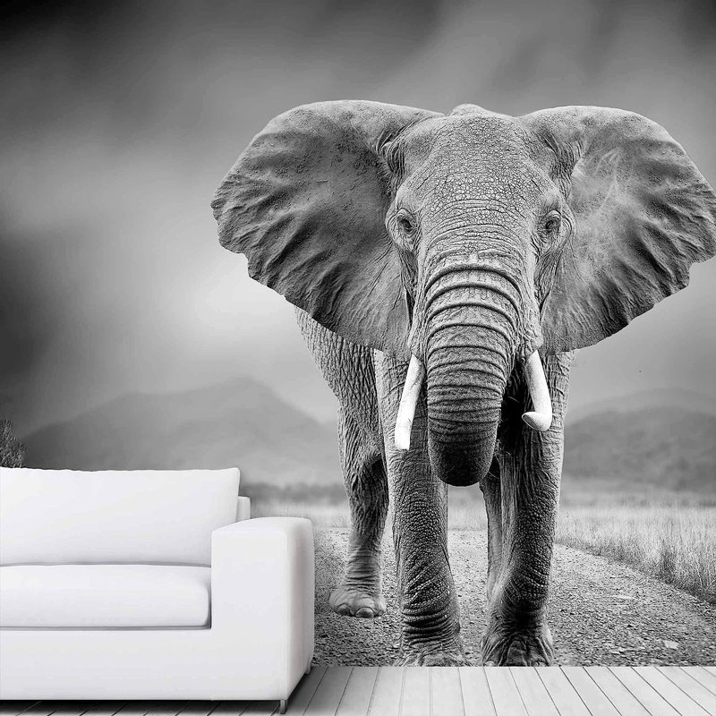 Elephant43, 100" L x 144" W