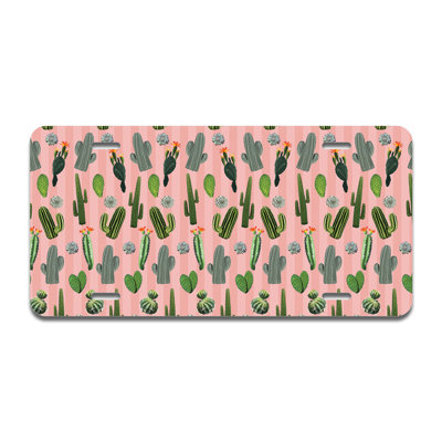 Cadre en aluminium pour jardin de cactus