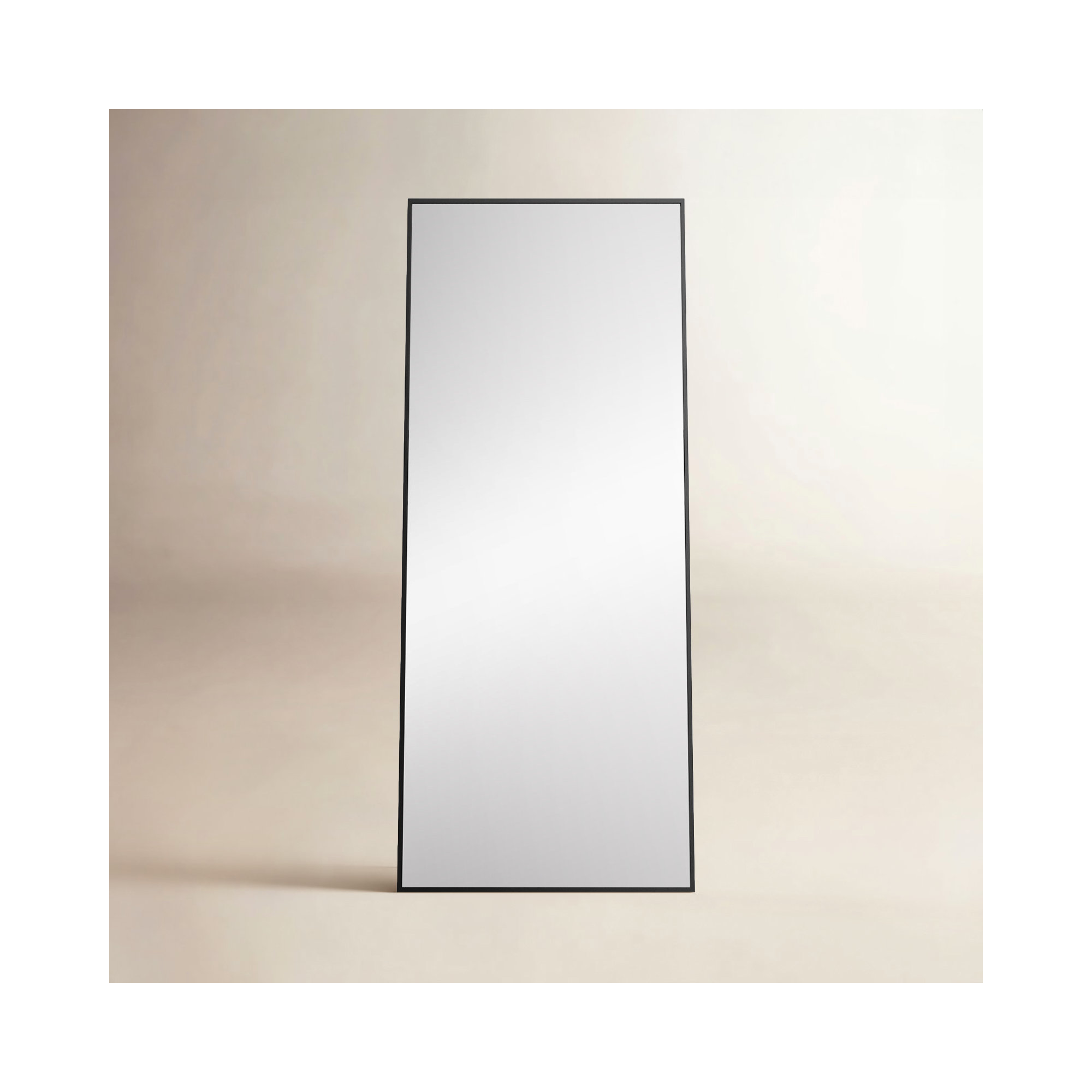 Sabine Metal Rectangle Floor Mirror, Black, 72" x 30"
