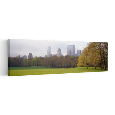 Trees In A Park, Central Park, Manhattan, New York City, New York State, Usa Abstract Contemporary City Landscape Wall Art