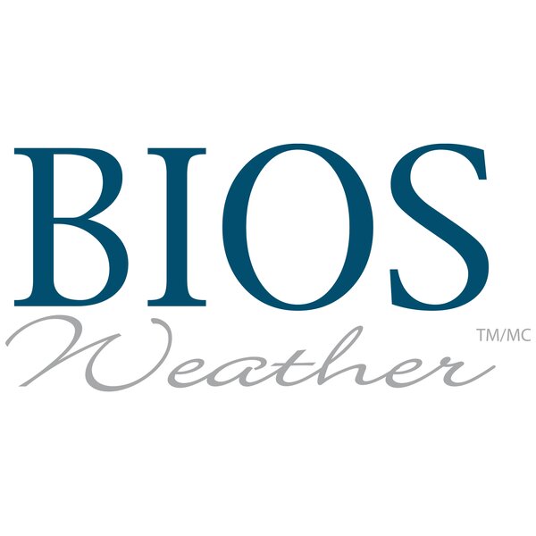 BIOS Indoor/Outdoor Magnetic Thermometer