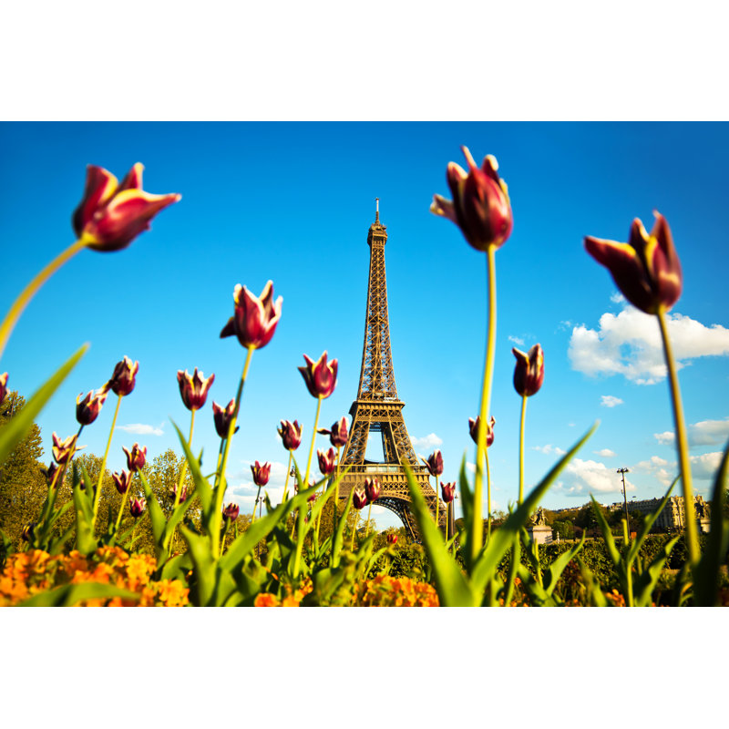Eiffel Tower In Paris, France - Wrapped Canvas Print, 30cm H x 46cm W x 3.8cm D