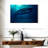 Brampt Blue Whale Underwater-108908537