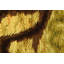 One-of-a-Kind 3’10x6’ Hand Knotted Area Rug