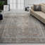 Dmon Floral Area Rug in Blue-1903343039