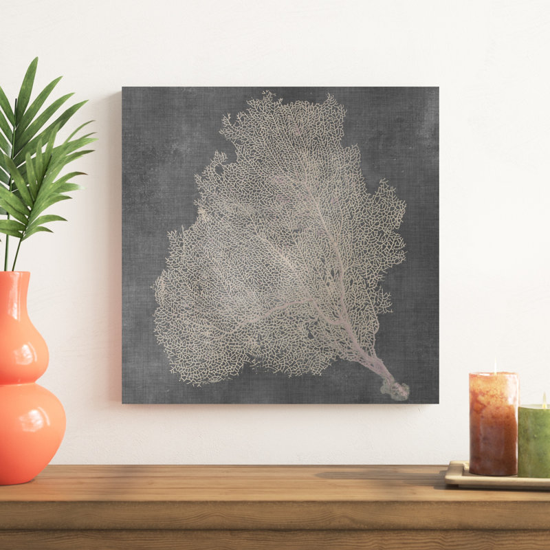 Éventail naturel de mer VII, H 20 po x l 20 po