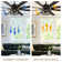 Clercq 72" 8 - Blade Reversible Ceiling Fan with Lights and Remote, 6 Speeds Ceiling Fan
