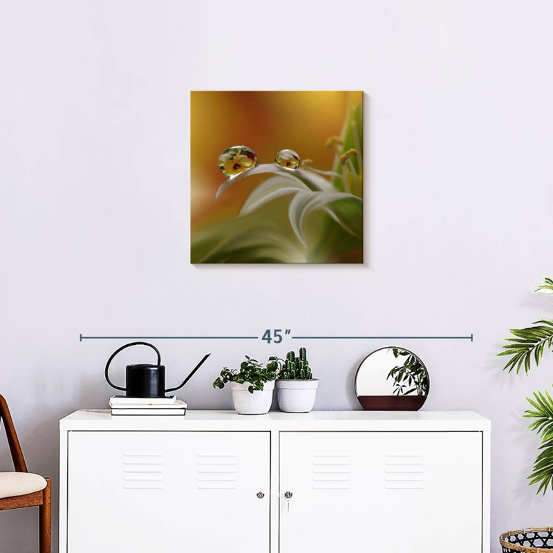 Brume de fleurs Alvord, H 20 po x l 20 po