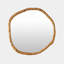 Irregular Circle Mirror