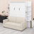 Murphy Wall Bed with Built-in Sofa