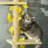 513.08cm H Cat Tree-89834152