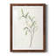 Spindle Sprig III - peinture encadrée-329937453-329937454
