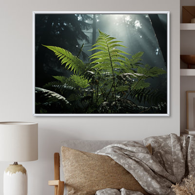 " Ferns Close Up Photo VII "