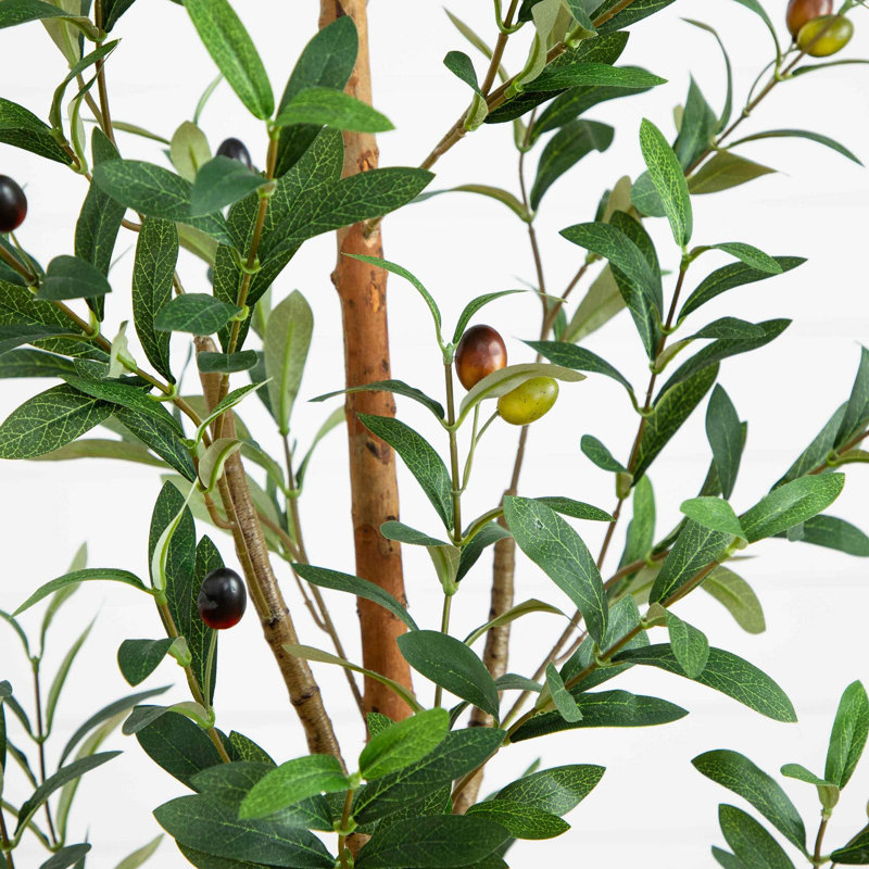 60 po. Olive artificielle 60 po