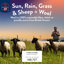 Wonderful Wool Mattress Topper 100% British Wool Moisture Cotton Cover-92281190