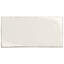 Winston 6" x 12" Porcelain Subway Wall & Floor Tile-50313103